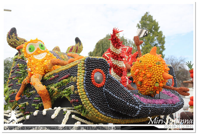 Fruitcorso Tiel 2024 IMG_1336@MiriSusanna CC-BY-NC-ND Fruitcorso Tiel 2024 IMG_1336