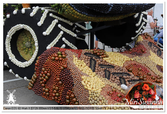 Fruitcorso Tiel 2024 IMG_1337@MiriSusanna CC-BY-NC-ND Fruitcorso Tiel 2024 IMG_1337