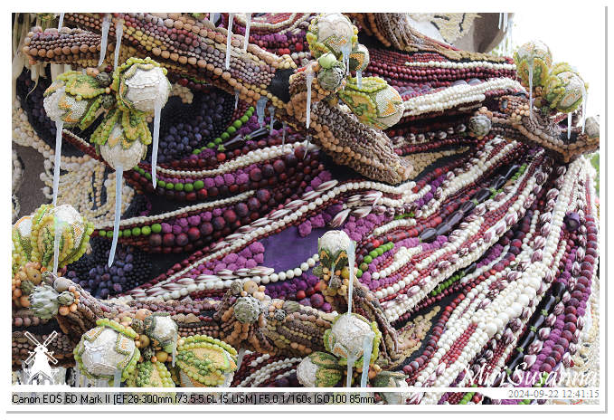 Fruitcorso Tiel 2024 IMG_1344@MiriSusanna CC-BY-NC-ND Fruitcorso Tiel 2024 IMG_1344