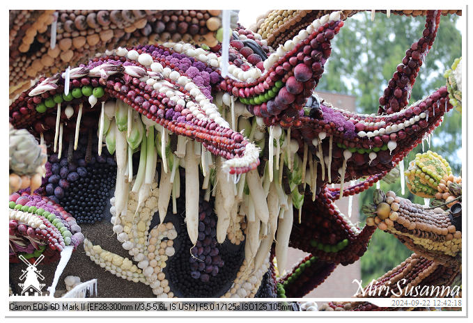 Fruitcorso Tiel 2024 IMG_1347@MiriSusanna CC-BY-NC-ND Fruitcorso Tiel 2024 IMG_1347