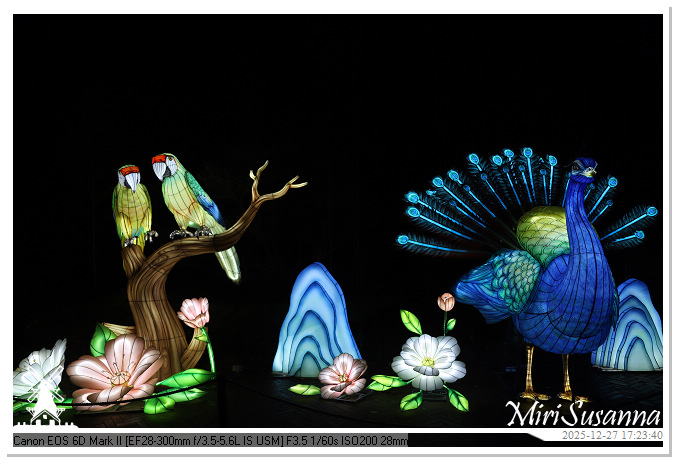 Ouwehand Light Night 2025 IMG_4075-1