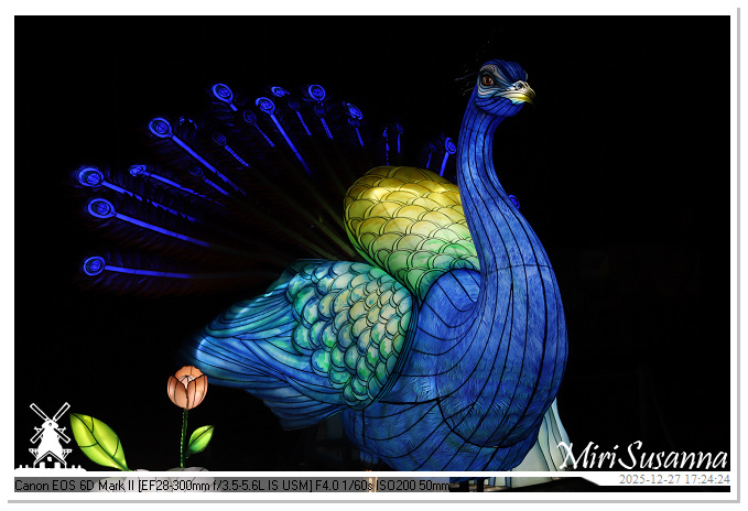 Ouwehand Light Night 2025 IMG_4078