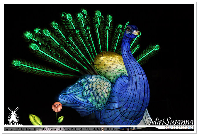 Ouwehand Light Night 2025 IMG_4079