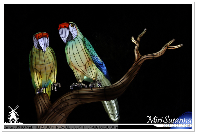 Ouwehand Light Night 2025 IMG_4080