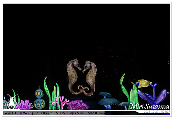 Ouwehand Light Night 2025 IMG_4081