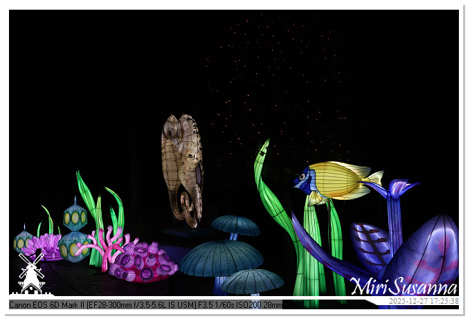 Ouwehand Light Night 2025 IMG_4084