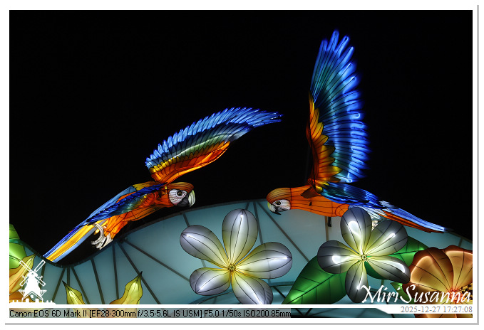 Ouwehand Light Night 2025 IMG_4089