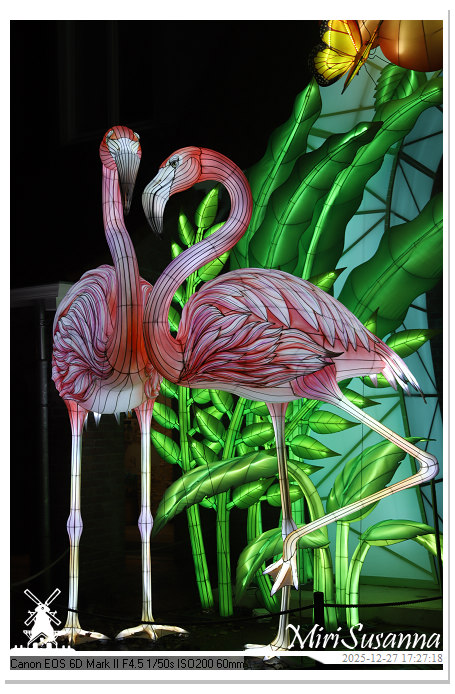 Ouwehand Light Night 2025 IMG_4090