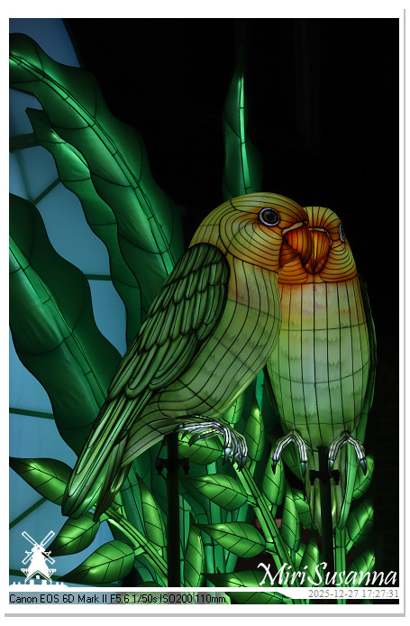 Ouwehand Light Night 2025 IMG_4091