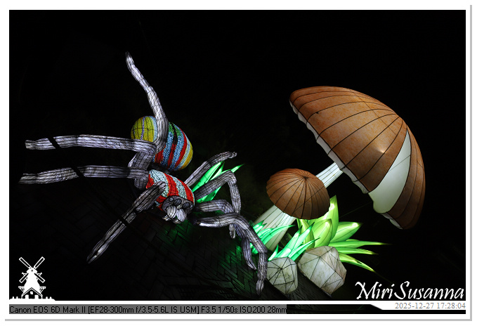 Ouwehand Light Night 2025 IMG_4092