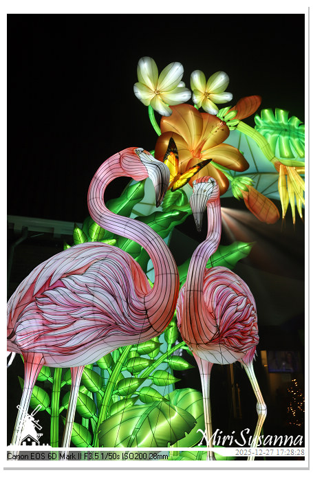 Ouwehand Light Night 2025 IMG_4093