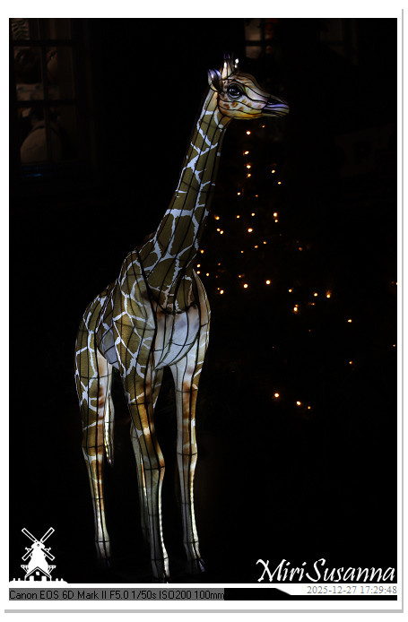 Ouwehand Light Night 2025 IMG_4094