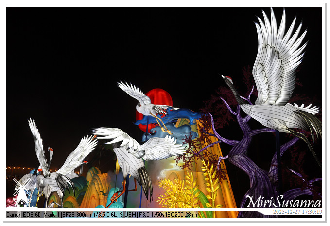 Ouwehand Light Night 2025 IMG_4096