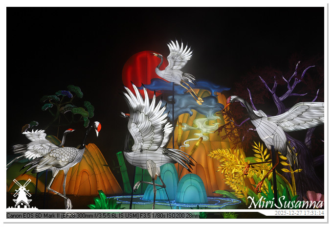 Ouwehand Light Night 2025 IMG_4100