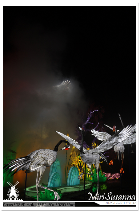 Ouwehand Light Night 2025 IMG_4102