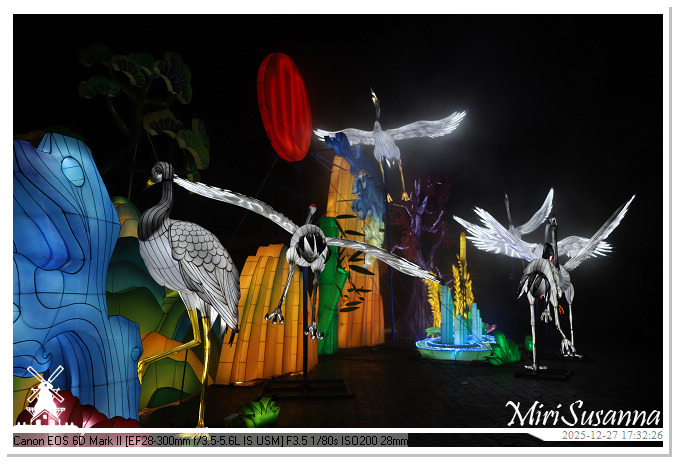 Ouwehand Light Night 2025 IMG_4104