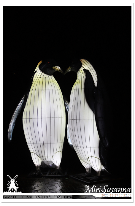 Ouwehand Light Night 2025 IMG_4106