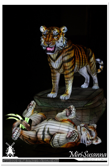 Ouwehand Light Night 2025 IMG_4108