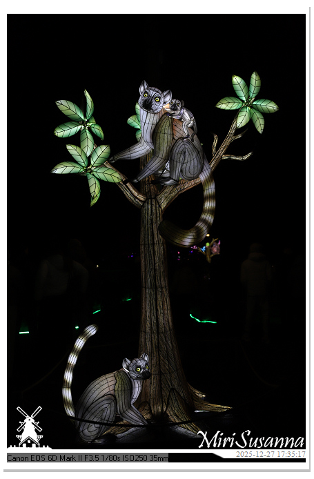 Ouwehand Light Night 2025 IMG_4110