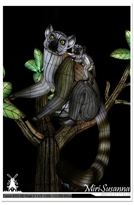 Ouwehand Light Night 2025 IMG_4111