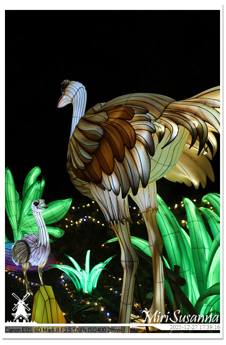 Ouwehand Light Night 2025 IMG_4117