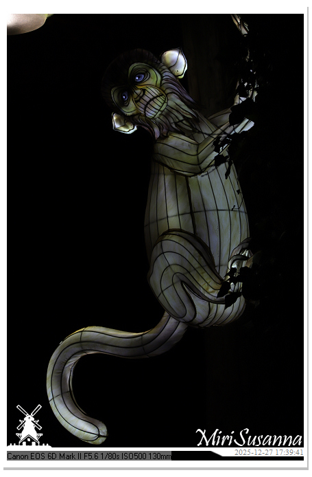 Ouwehand Light Night 2025 IMG_4120