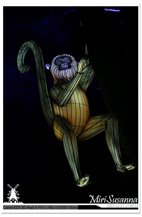 Ouwehand Light Night 2025 IMG_4123