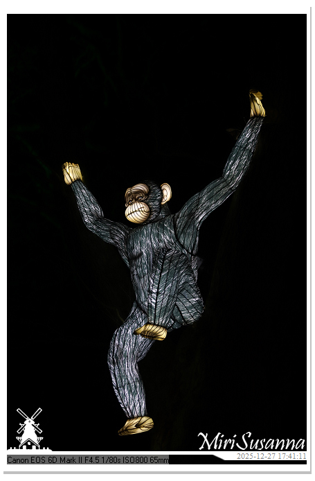 Ouwehand Light Night 2025 IMG_4124