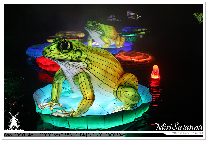 Ouwehand Light Night 2025 IMG_4125