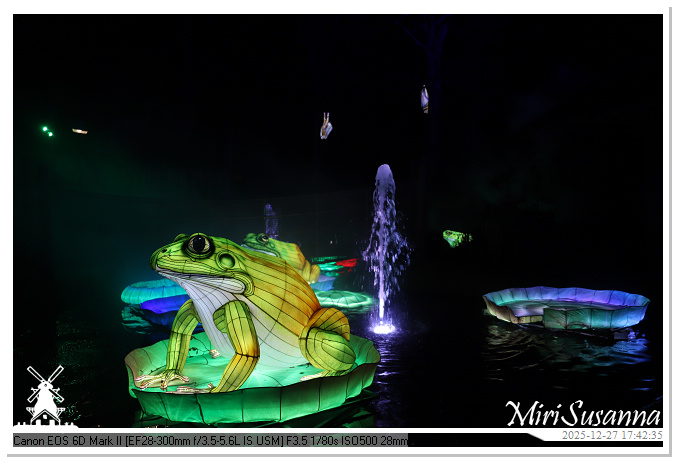 Ouwehand Light Night 2025 IMG_4127