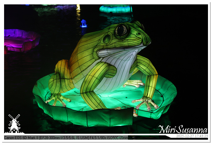 Ouwehand Light Night 2025 IMG_4128