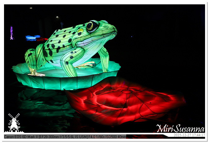 Ouwehand Light Night 2025 IMG_4130