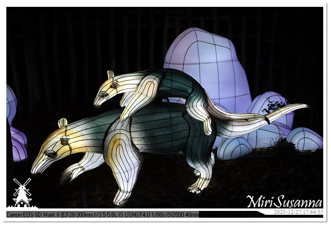 Ouwehand Light Night 2025 IMG_4131