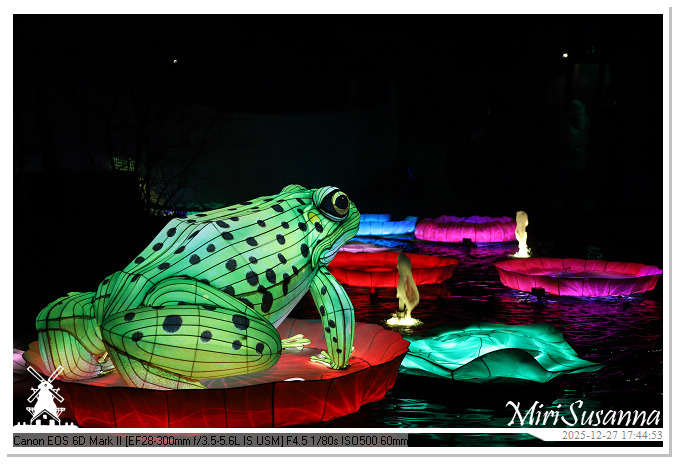 Ouwehand Light Night 2025 IMG_4132