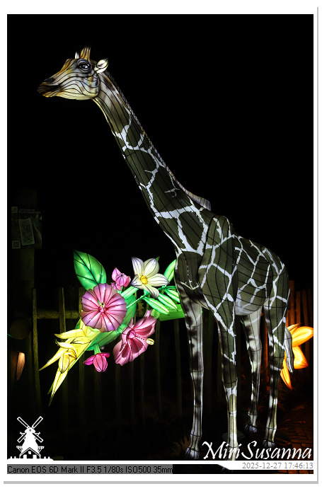 Ouwehand Light Night 2025 IMG_4134