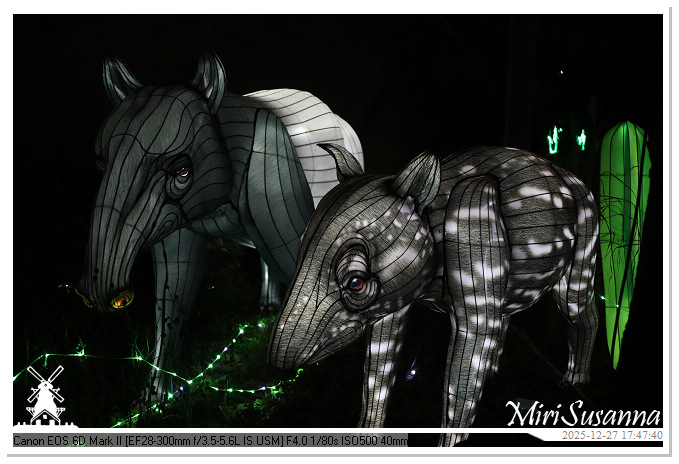 Ouwehand Light Night 2025 IMG_4137