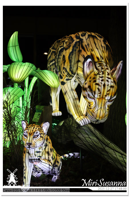 Ouwehand Light Night 2025 IMG_4138