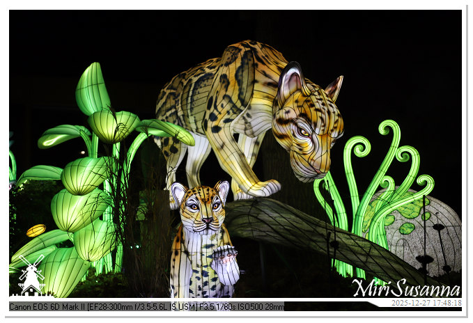 Ouwehand Light Night 2025 IMG_4139