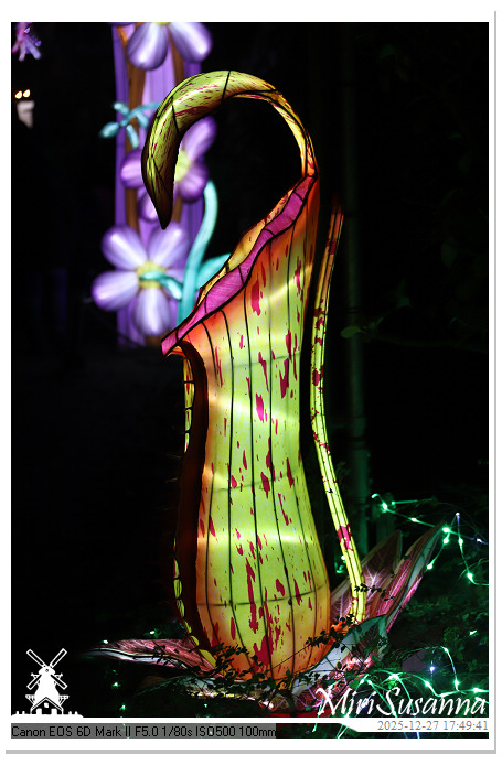 Ouwehand Light Night 2025 IMG_4145