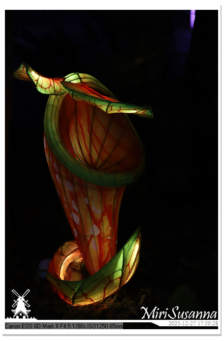 Ouwehand Light Night 2025 IMG_4148