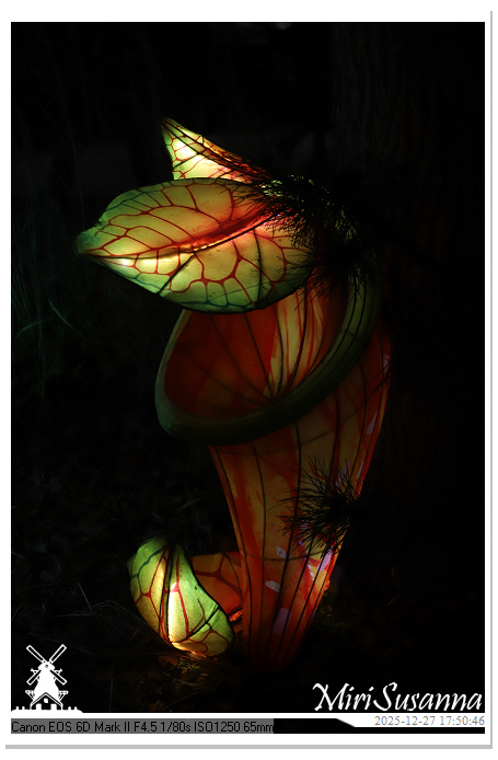 Ouwehand Light Night 2025 IMG_4149