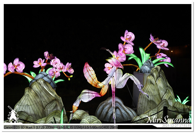 Ouwehand Light Night 2025 IMG_4152