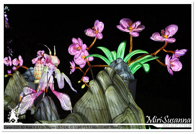 Ouwehand Light Night 2025 IMG_4155