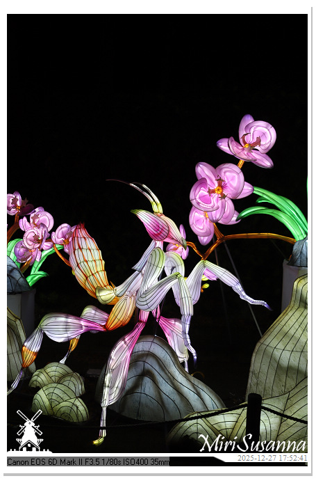 Ouwehand Light Night 2025 IMG_4156