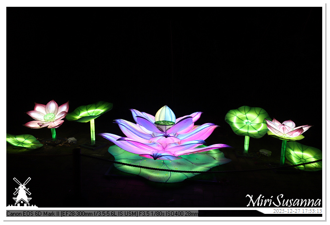 Ouwehand Light Night 2025 IMG_4157