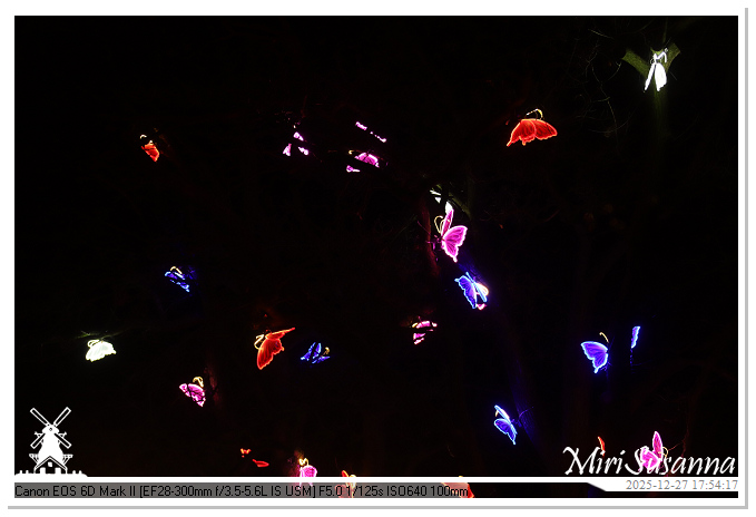 Ouwehand Light Night 2025 IMG_4162