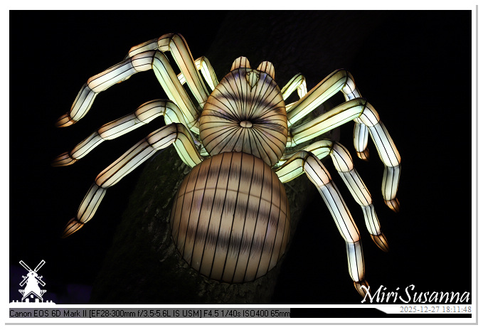 Ouwehand Light Night 2025 IMG_4171