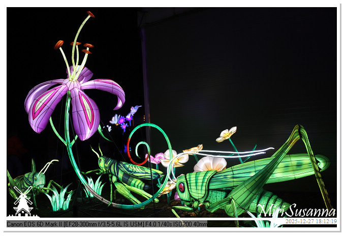 Ouwehand Light Night 2025 IMG_4174