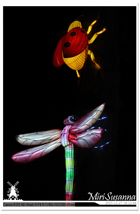 Ouwehand Light Night 2025 IMG_4175