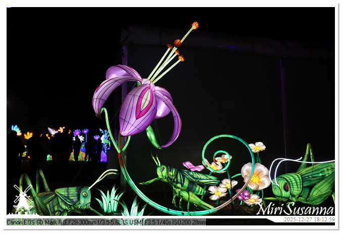 Ouwehand Light Night 2025 IMG_4176